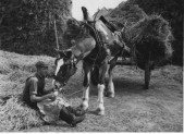 Farm labourer © East Lothian Library Service